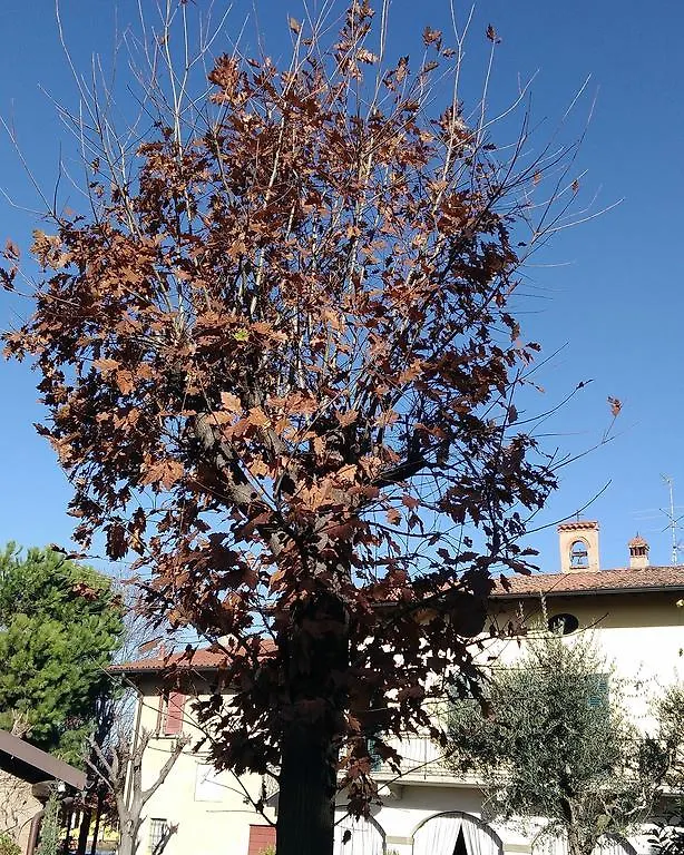 Bed & Breakfast Cascina CORTEPRIMAVERA, B&B del Baliot Passirano